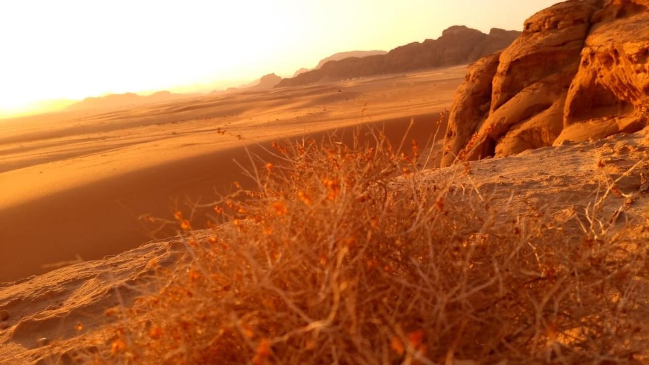 Waseem Luxury Camp Wadi Rum Exterior photo